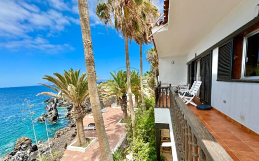 Chalet Punta Negra