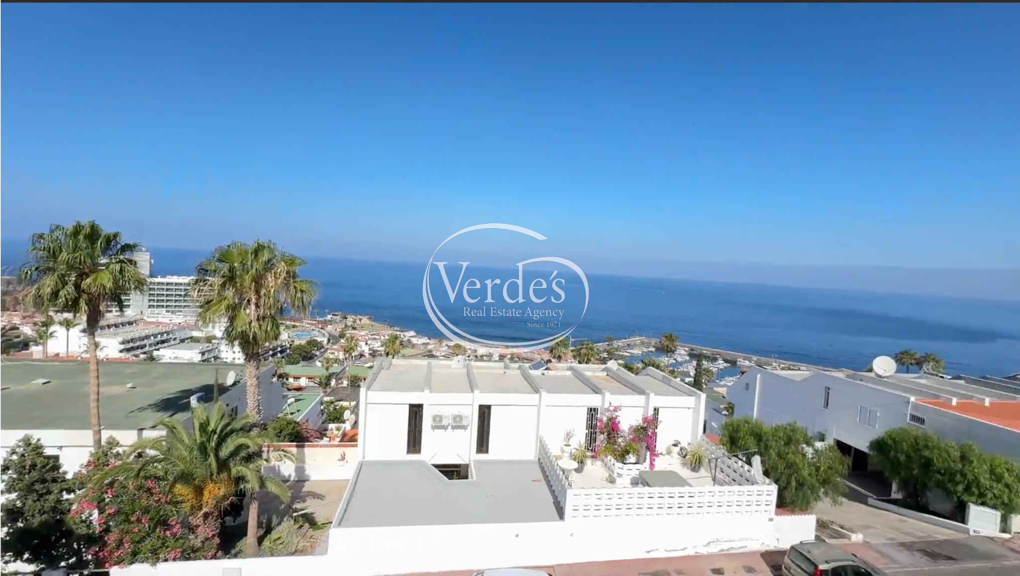 video image