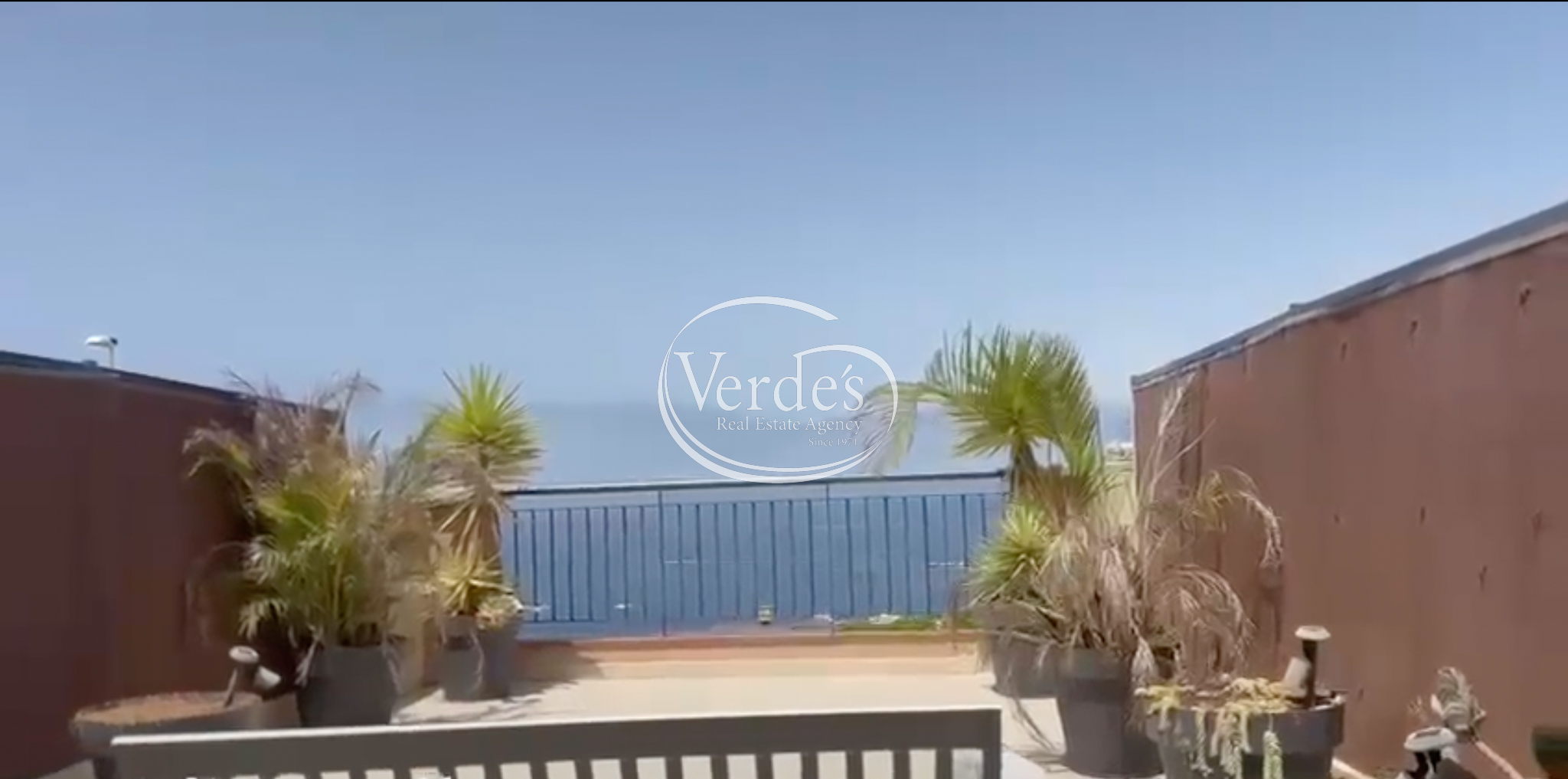 video image