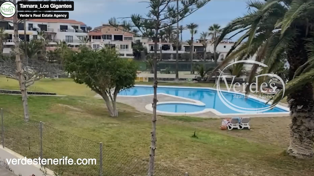 video image