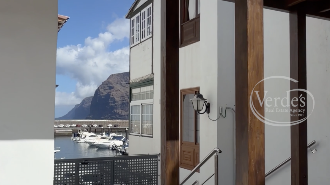 video image