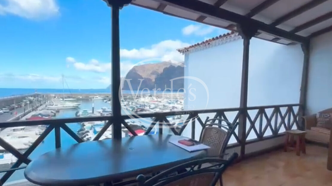 video image